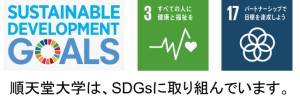 SDGs300