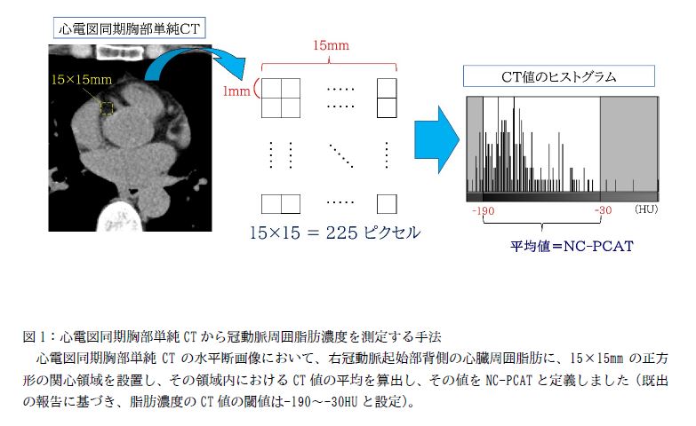 キャプチャ1